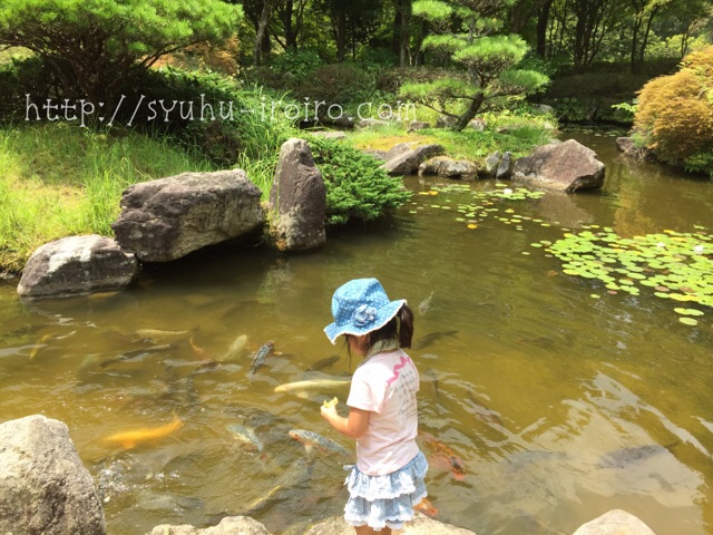 北播磨余暇村公園鯉の池