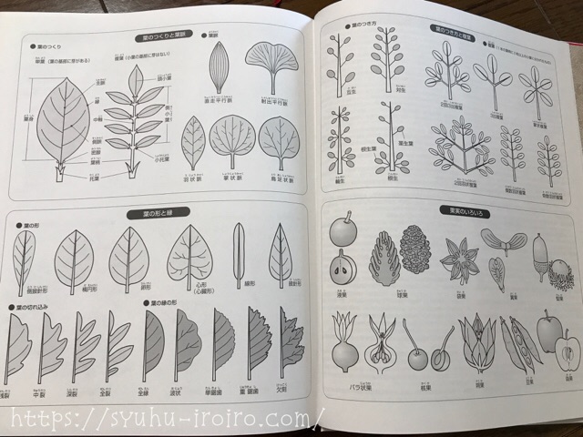 植物図説